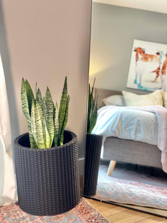 2Br In Heart Of Queen Village - Walk To Everything! 费城 外观 照片